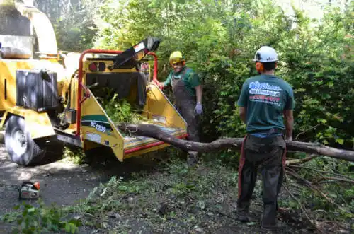 tree services Prairie City